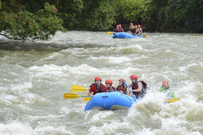 Adventure Combo (Canopy Tour & Rafting) From San Jose