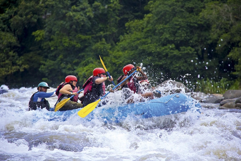 Adventure Combo (Canopy Tour & Rafting) From San Jose