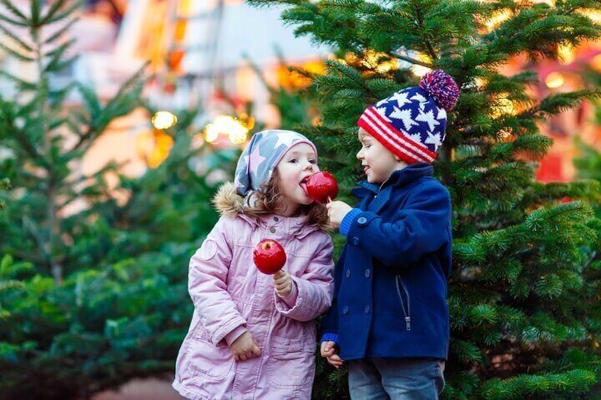 Walking Tour in Munich with Magical Christmas Scenery