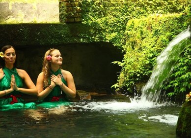 Bali Holy Bath and Jungle Swing Private Day Trip