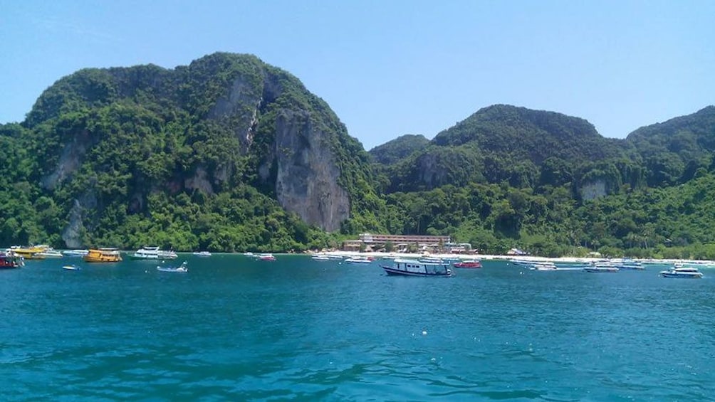 Phuket to Phi Phi Island Enjoy Snorkeling & Colourful Fishes
