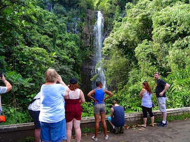 PRIVATE ROAD TO HANA, WATERFALLS & LUNCH