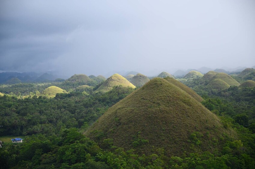Show item 3 of 10. A Bohol Journey from Cebu