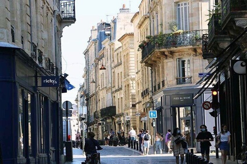 Bordeaux City Custom & Private Guided Walking Tour with a Local