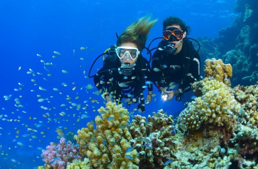 Beginner Scuba Diving Experience in Bali