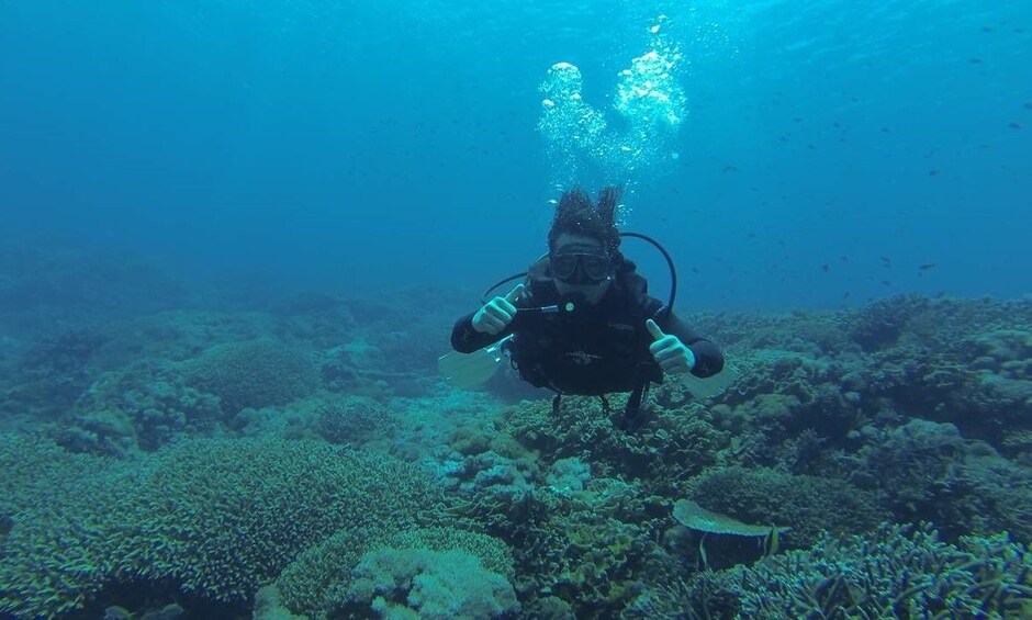 Beginner Scuba Diving Experience in Bali
