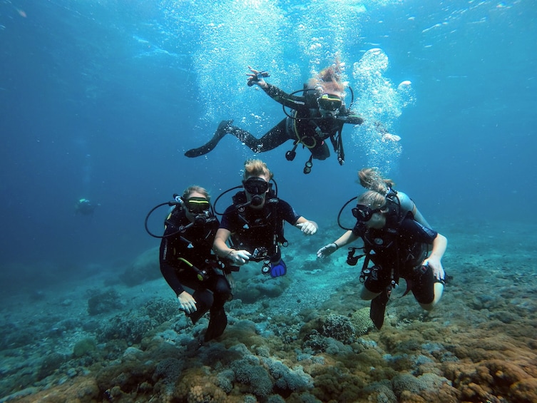 Beginner Scuba Diving Experience in Bali