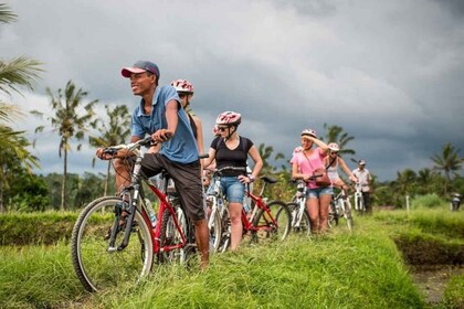 Biking/Trekking Combination Tour - Best of Lombok in 1 day!
