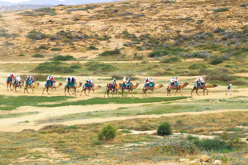 Los Cabos Combo: ATV + Horses