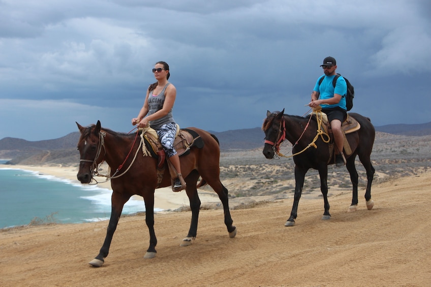 Los Cabos Combo: ATV + Horses
