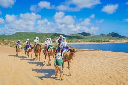 Los Cabos Combo 2x1 tour: ATV, Caballos, UTV y Camello