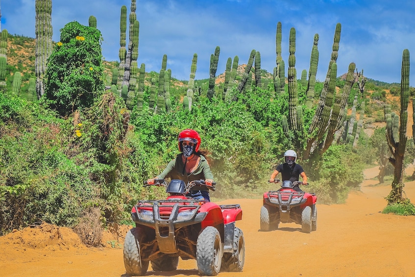 Los Cabos Combo: ATV + Horses