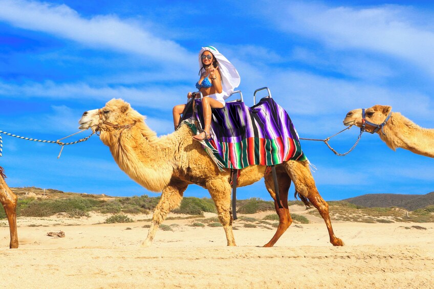 Los Cabos Combo: ATV + Horses