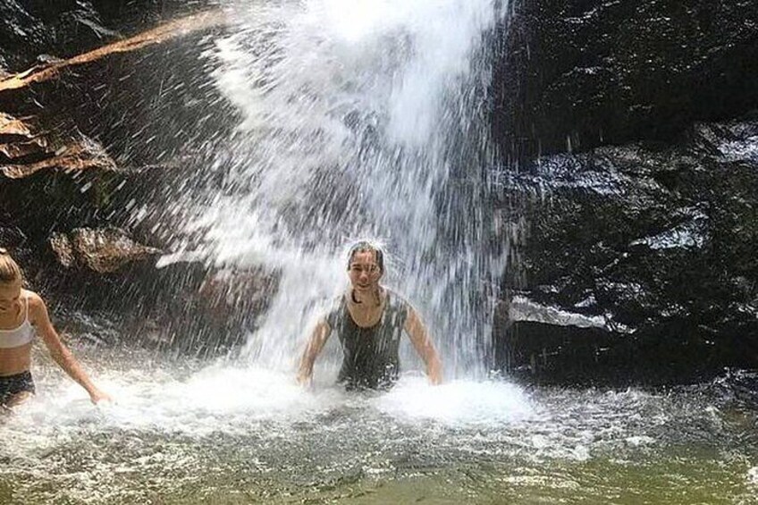 Templer Park and Kanching Waterfall Nature Tour 