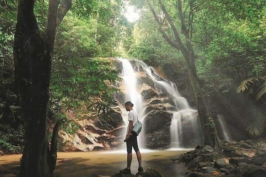 Templer Park and Kanching Waterfall Nature Tour 