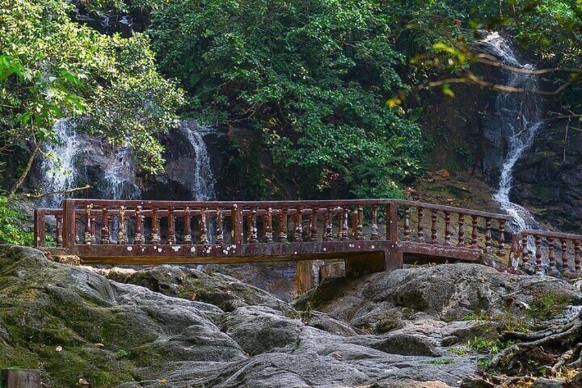 Templer Park and Kanching Waterfall Nature Tour 