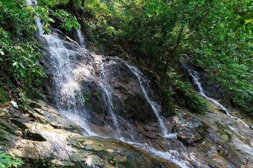 Templer Park and Kanching Waterfall Nature Tour 