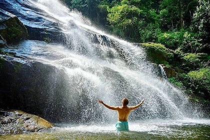 Templer Park and Kanching Waterfall Nature Tour