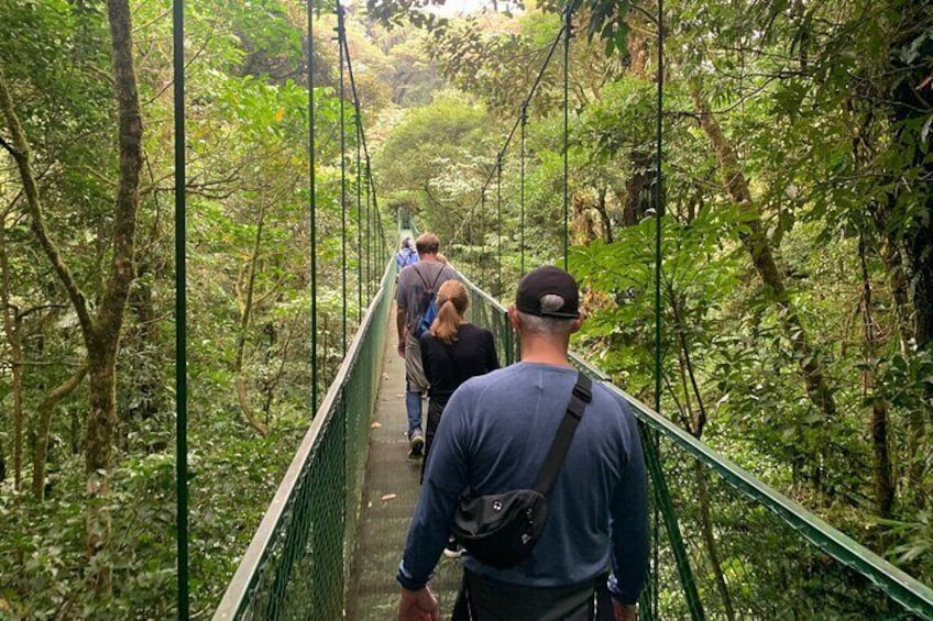 Monteverde Cloud Forest Hanging Bridges Guided Walk