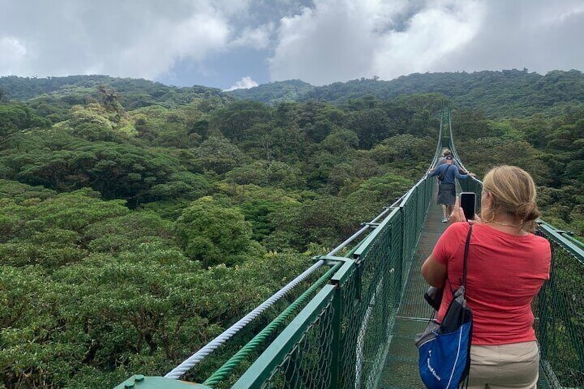 Monteverde Cloud Forest Hanging Bridges Guided Walk