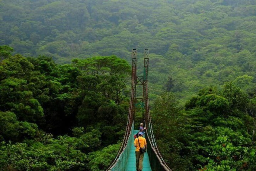 Monteverde Cloud Forest Hanging Bridges
