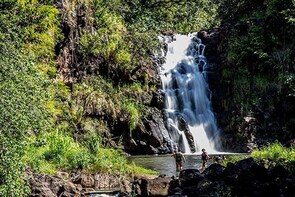 Intimate North Shore Eco Fun Waterfall Tour from KoOlina