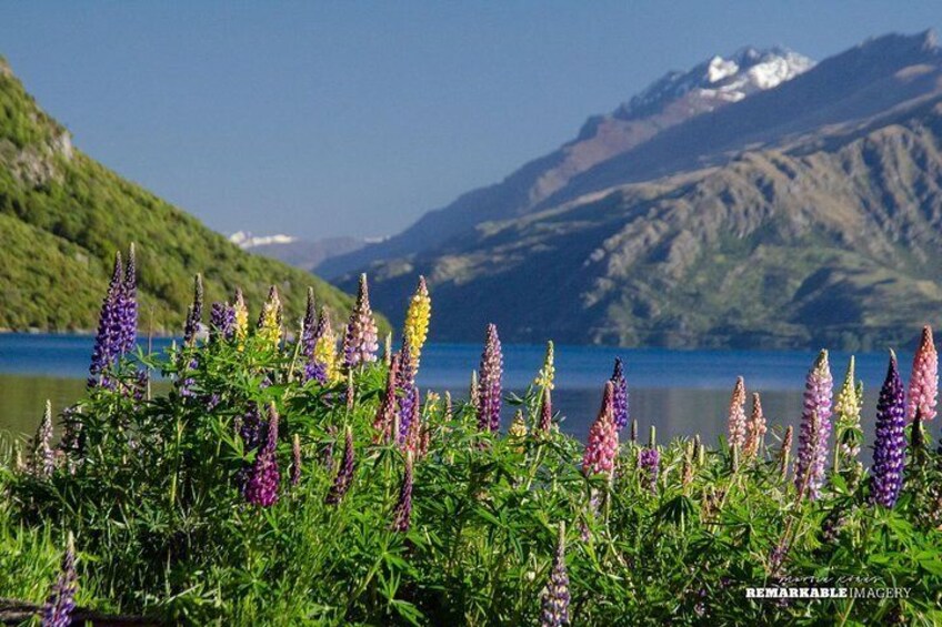 Private Tour Full Day Queenstown and Southern Lakes Photography Tour