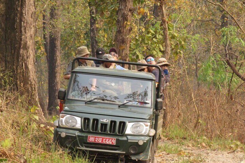 Bird watching by jeep.