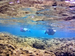 Free Diving Underwater Photos Porto De Galinhas