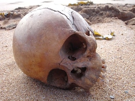 Bone Island Ghost Tour