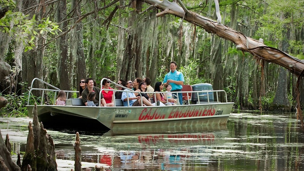 Cajun Bayou & Swamp Tour - New Orleans (Self Transport)