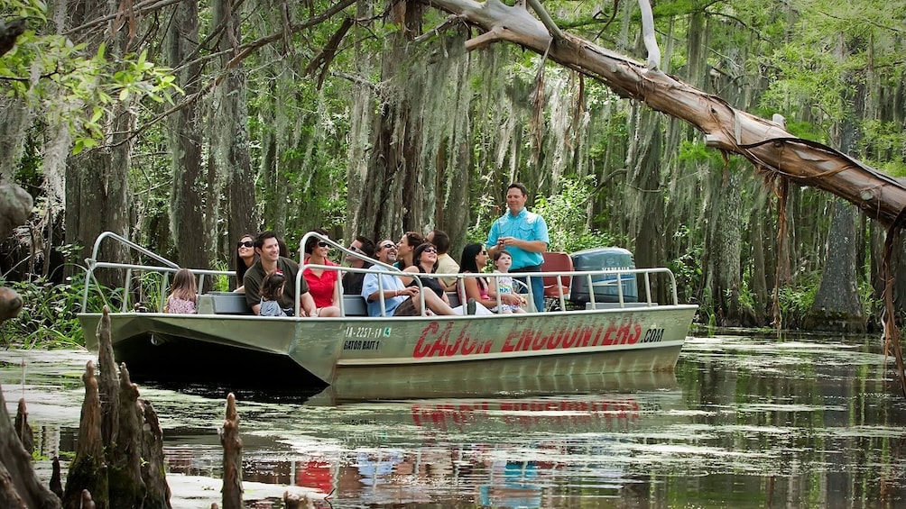 new orleans self transport swamp and bayou boat tour