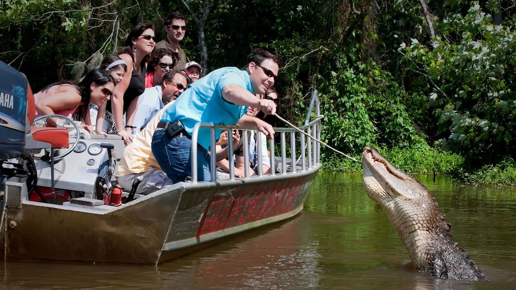 Cajun Bayou & Swamp Tour - New Orleans (Self Transport)