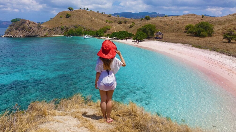 Show item 3 of 10. Private 4 Day Komodo Sail on Board with Regular Boat