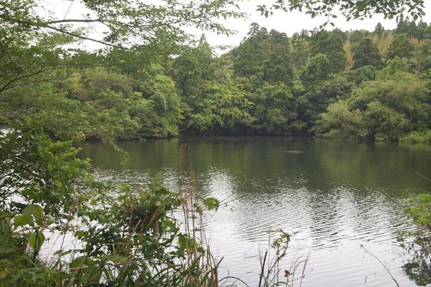 Rural Japan cycling tour to the rich nature area in Ichinomiya