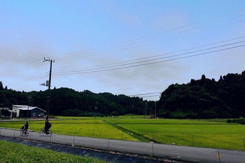 Cycling at the rural nature area