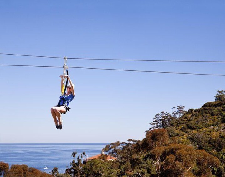 Catalina Island Day Trip from Los Angeles with Zipline Adventure