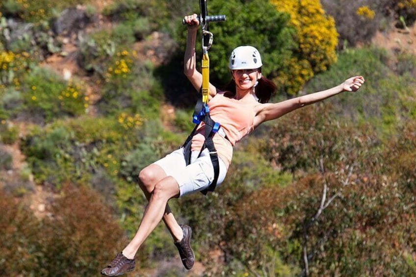 Catalina Island Day Trip from Los Angeles with Zipline Adventure