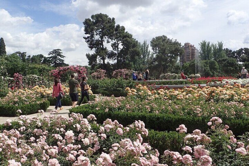 Rose garden at the Retiro park