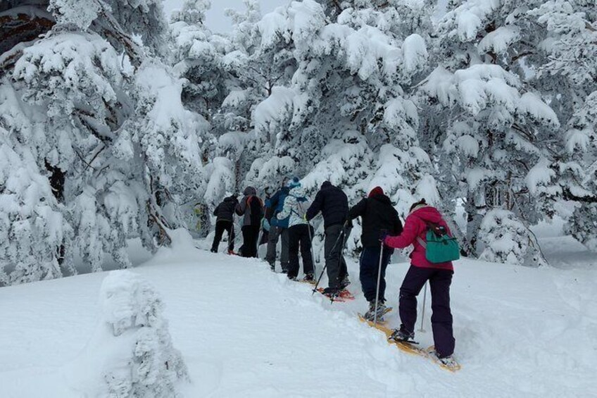 Show item 2 of 2. raquetas nieve