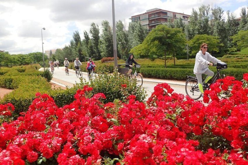 Bike path along the Manzanares River