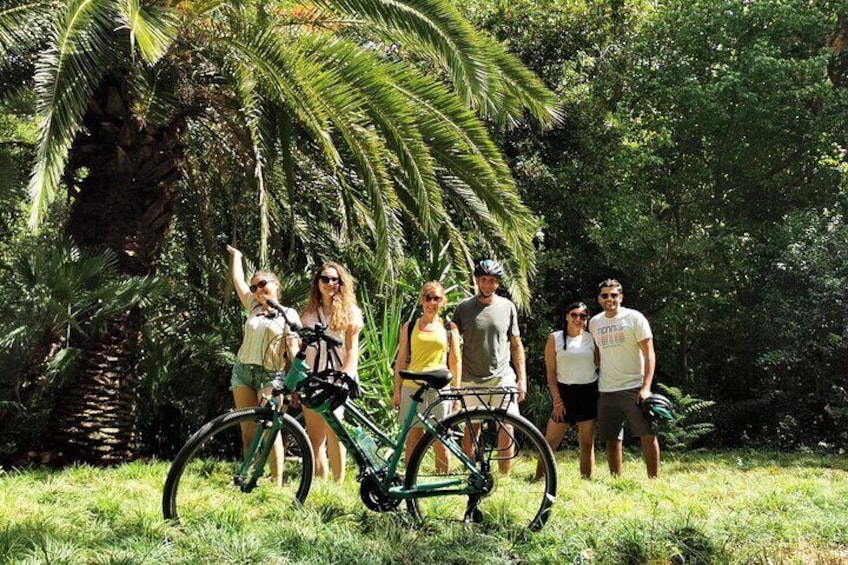 Athens Scenic Bike Tour