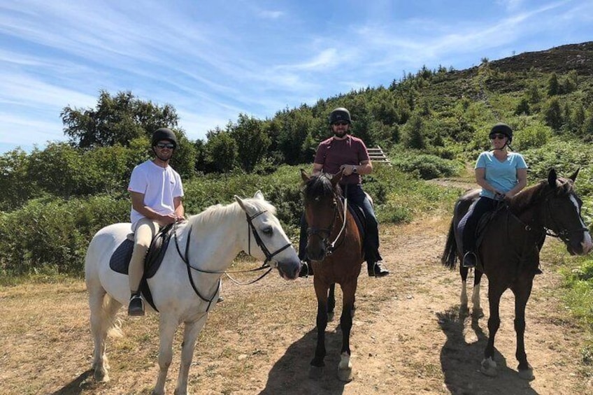 Group taking a rest on their trail in Wicklow