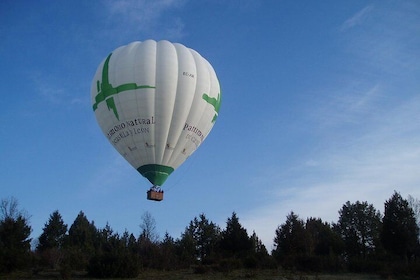 Ballonvaart boven regionaal park Guadarrama in Madrid