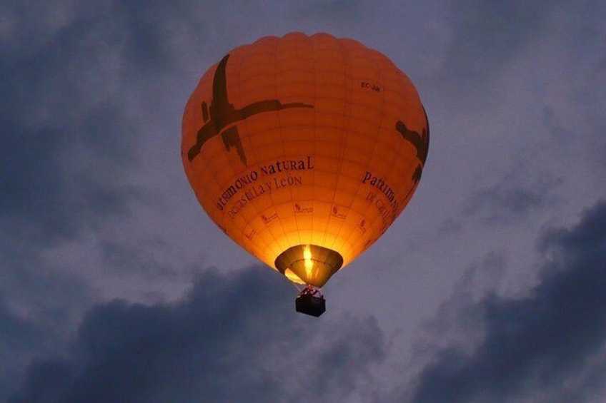 Soaring the sky early morning