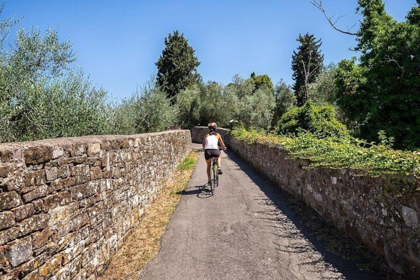 Tuscan Country Bike Tour from Florence, Including Wine and Olive Oil Tastings