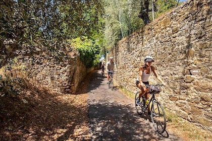 Tuscan Country Bike Tour from Florence, Including Wine and Olive Oil Tastin...