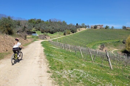 2-Day Tuscany E-Bike Adventure