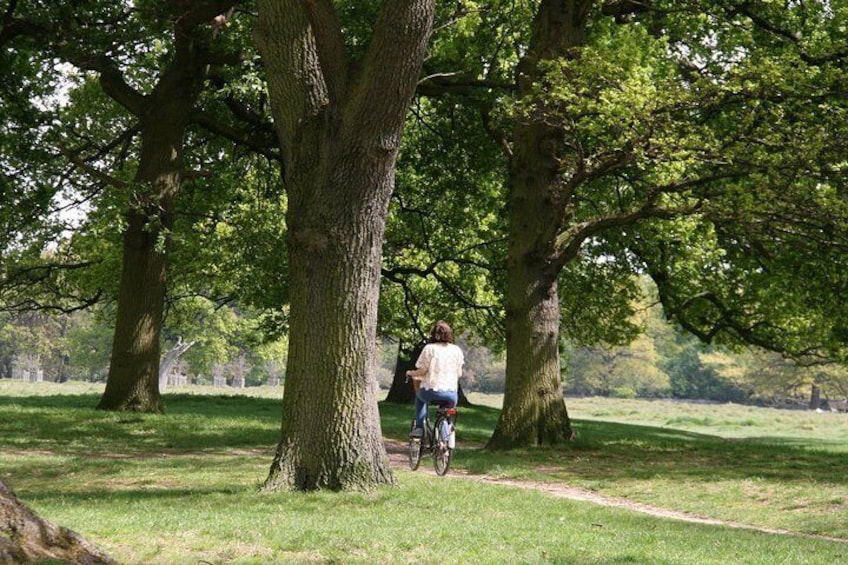 Hampton Court Palace Grounds Bike Tour