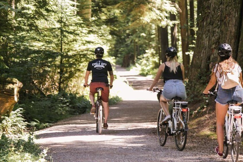 Cruise rainforest trails in Stanley Park